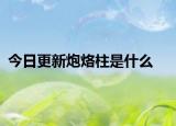 今日更新炮烙柱是什么