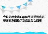 今日更新小米11pro手机摇晃感觉里面有东西松了到底是怎么回事