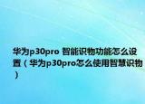 华为p30pro 智能识物功能怎么设置（华为p30pro怎么使用智慧识物）