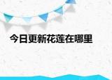 今日更新花莲在哪里