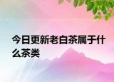 今日更新老白茶属于什么茶类