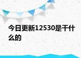 今日更新12530是干什么的