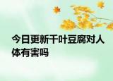 今日更新千叶豆腐对人体有害吗