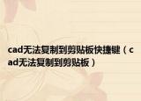 cad无法复制到剪贴板快捷键（cad无法复制到剪贴板）
