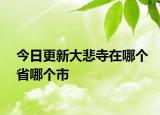 今日更新大悲寺在哪个省哪个市