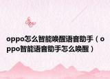 oppo怎么智能唤醒语音助手（oppo智能语音助手怎么唤醒）