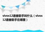 vivos12语音助手叫什么（vivos12语音助手在哪里）