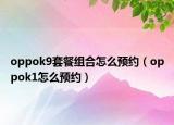 oppok9套餐组合怎么预约（oppok1怎么预约）