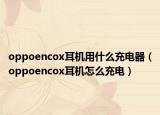 oppoencox耳机用什么充电器（oppoencox耳机怎么充电）