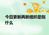 今日更新两新组织是指什么