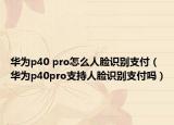 华为p40 pro怎么人脸识别支付（华为p40pro支持人脸识别支付吗）