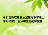 今日更新蜈蚣会从卫生间下水道上来吗 蜈蚣一般从哪里爬到家里的