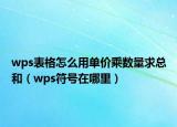 wps表格怎么用单价乘数量求总和（wps符号在哪里）