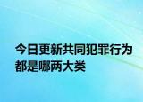 今日更新共同犯罪行为都是哪两大类