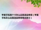 苹果手机两个卡怎么设置流量使用（苹果手机怎么设置流量使用情况显示）