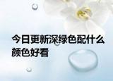 今日更新深绿色配什么颜色好看