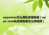 opporeno怎么用私密保险箱（oppo reno私密保险箱怎么存视频）