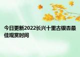 今日更新2022长兴十里古银杏最佳观赏时间
