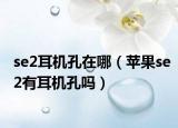 se2耳机孔在哪（苹果se2有耳机孔吗）