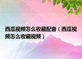 西瓜视频怎么收藏配音（西瓜视频怎么收藏视频）