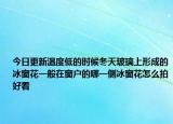 今日更新温度低的时候冬天玻璃上形成的冰窗花一般在窗户的哪一侧冰窗花怎么拍好看