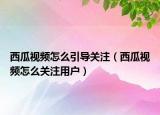 西瓜视频怎么引导关注（西瓜视频怎么关注用户）