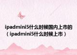 ipadmini5什么时候国内上市的（ipadmini5什么时候上市）