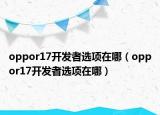 oppor17开发者选项在哪（oppor17开发者选项在哪）