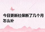 今日更新社保断了几个月怎么补