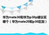 华为mate30和华为p30p建议买哪个（华为mate20和p30区别）