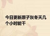 今日更新原子灰冬天几个小时能干