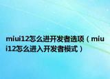 miui12怎么进开发者选项（miui12怎么进入开发者模式）