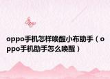 oppo手机怎样唤醒小布助手（oppo手机助手怎么唤醒）