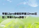苹果12pro参数和苹果12max区别（苹果12pro参数）