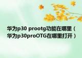 华为p30 prootg功能在哪里（华为p30proOTG在哪里打开）