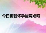 今日更新怀孕能离婚吗