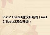 ios12.1beta1建议升级吗（ios12.1beta2怎么升级）