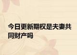 今日更新期权是夫妻共同财产吗