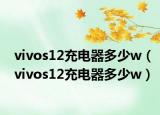 vivos12充电器多少w（vivos12充电器多少w）