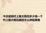 今日更新村上隆太阳花多少钱一个村上隆太阳花抱枕怎么辨别真假