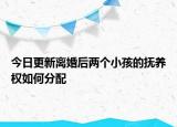 今日更新离婚后两个小孩的抚养权如何分配