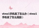 vivoz1手机丢了怎么办（vivoz1手机丢了怎么找回）