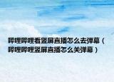 哔哩哔哩看竖屏直播怎么去弹幕（哔哩哔哩竖屏直播怎么关弹幕）