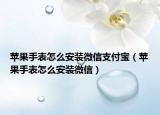 苹果手表怎么安装微信支付宝（苹果手表怎么安装微信）