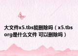 大文件x5.tbs能删除吗（x5.tbs org是什么文件 可以删除吗）