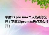 苹果13 pro max个人热点怎么开（苹果13promax热点怎么打开）