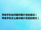 苹果手机如何翻译图片里的英语（苹果手机怎么翻译图片里面的英文）