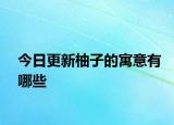 今日更新柚子的寓意有哪些