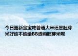 今日更新宝宝吃普通大米还是胚芽米好该不该给BB选购胚芽米呢