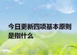 今日更新四项基本原则是指什么